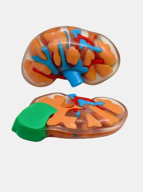 Full-Color Resin