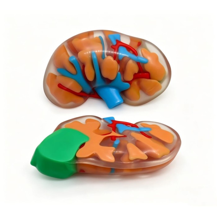 Full Color Resin